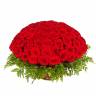 Корзина из 101 розы