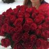 51 красная роза