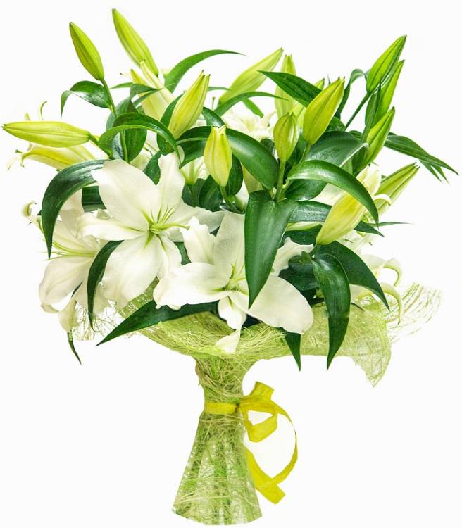 Долгожданный