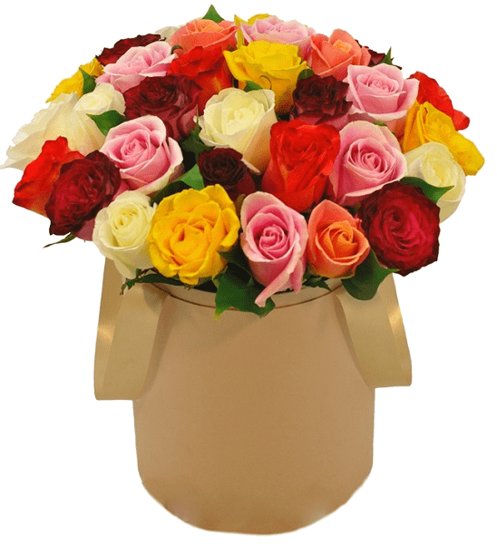Разноцветные розы в коробке